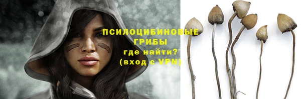 мяу мяу мука Семикаракорск
