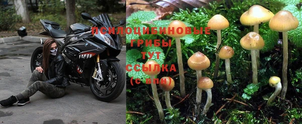 ALPHA PVP Арсеньев