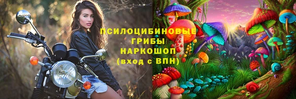 дмт Семёнов