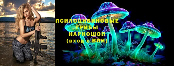 spice Аркадак